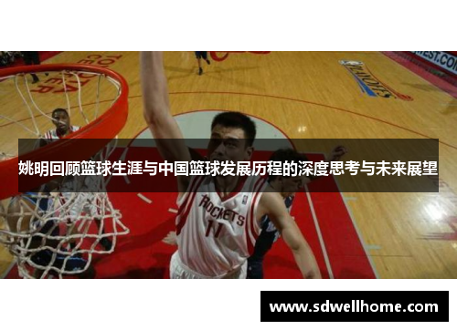姚明回顾篮球生涯与中国篮球发展历程的深度思考与未来展望