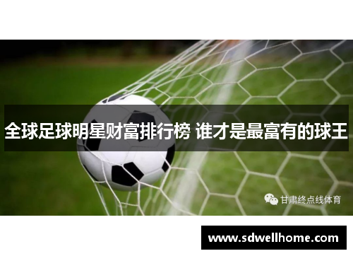 全球足球明星财富排行榜 谁才是最富有的球王