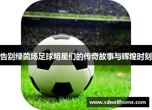 告别绿茵场足球明星们的传奇故事与辉煌时刻