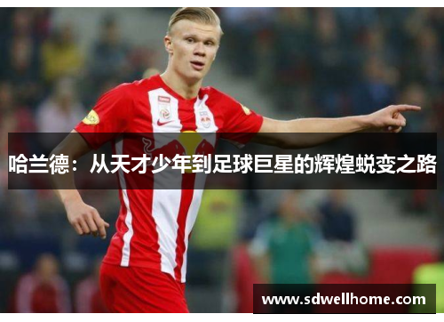哈兰德：从天才少年到足球巨星的辉煌蜕变之路