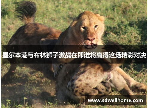 墨尔本港与布林狮子激战在即谁将赢得这场精彩对决