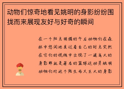 动物们惊奇地看见姚明的身影纷纷围拢而来展现友好与好奇的瞬间